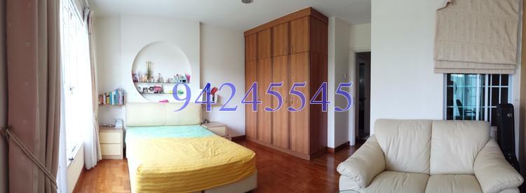 The Springside (D26), Terrace #165583962